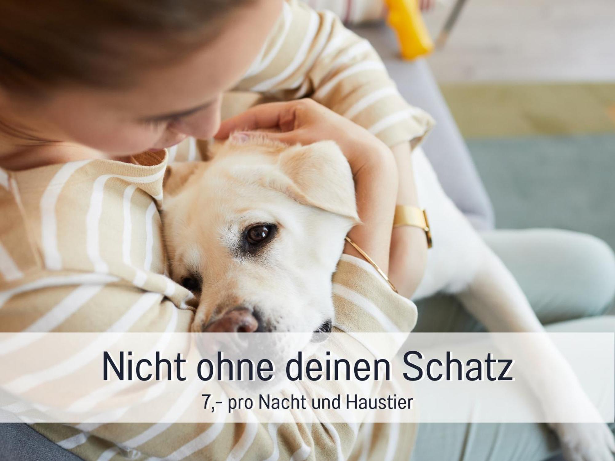 Ferienloft Sternenblick - Strandnah, Haustierfreundlich, Tolle Kueche, Optimal Fuer Workation, 4 Personen Steinberg  エクステリア 写真