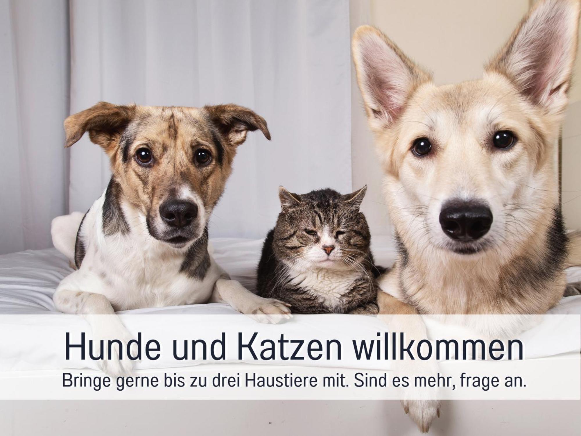 Ferienloft Sternenblick - Strandnah, Haustierfreundlich, Tolle Kueche, Optimal Fuer Workation, 4 Personen Steinberg  エクステリア 写真