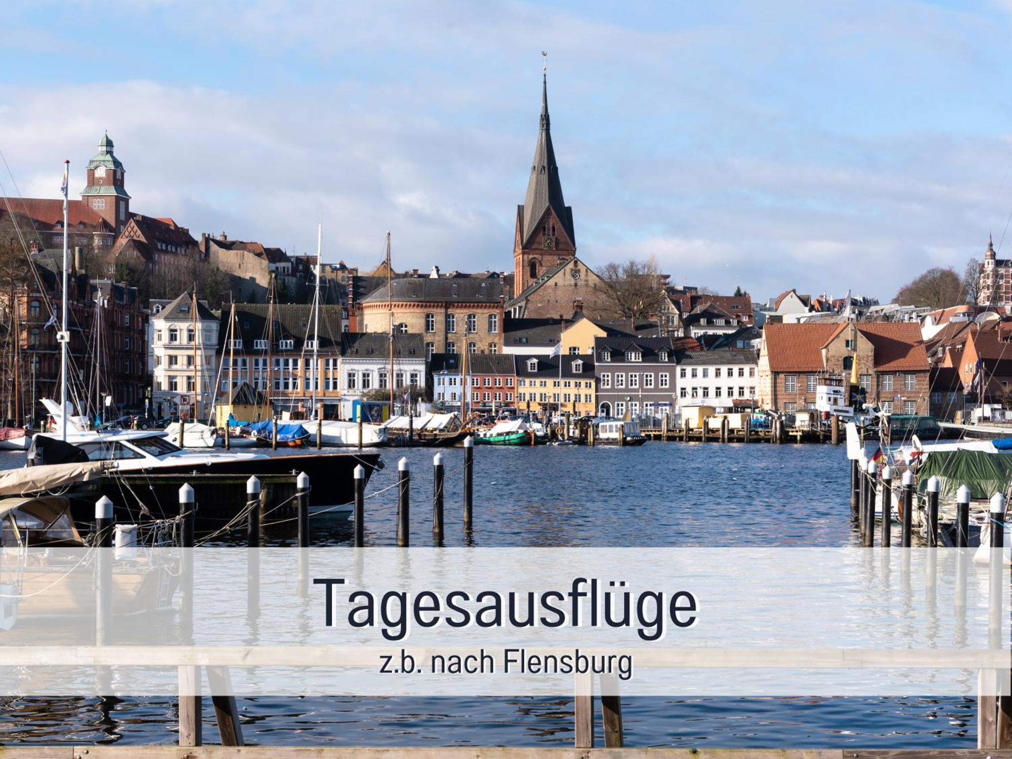 Ferienloft Sternenblick - Strandnah, Haustierfreundlich, Tolle Kueche, Optimal Fuer Workation, 4 Personen Steinberg  エクステリア 写真
