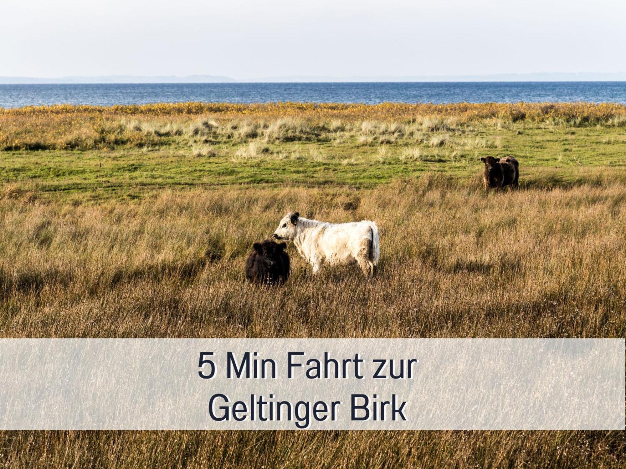 Ferienloft Sternenblick - Strandnah, Haustierfreundlich, Tolle Kueche, Optimal Fuer Workation, 4 Personen Steinberg  エクステリア 写真